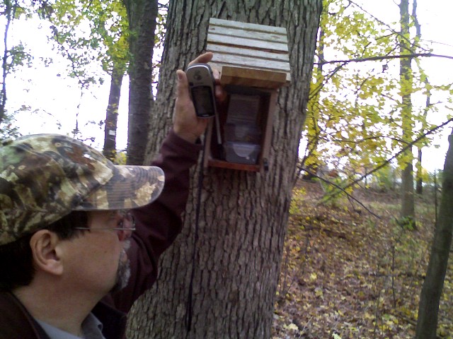 Geocache in a bird house