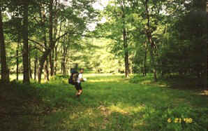 Picking up the pipeline trail