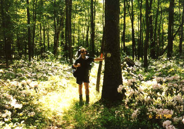 Hiking along Cranberry Swamp