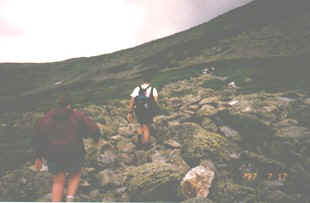 Stef and Dave crossing the Alpine Garden